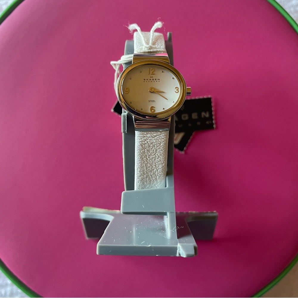 NWT vintage Skagen watch